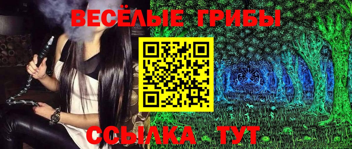 Фролово  Галлюциногенные грибы GOLDEN TEACHER  Вход с VPN 