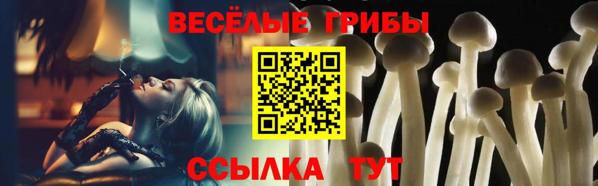 Псилоцибиновые грибы прущие грибы Фролово